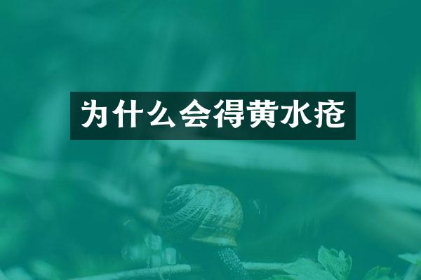 为什么会得黄水疮
