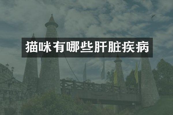 猫咪有哪些肝脏疾病