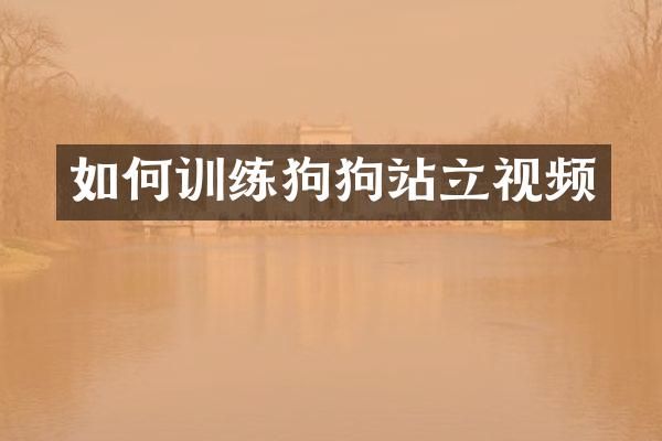 如何训练狗狗站立视频