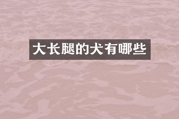 大长腿的犬有哪些