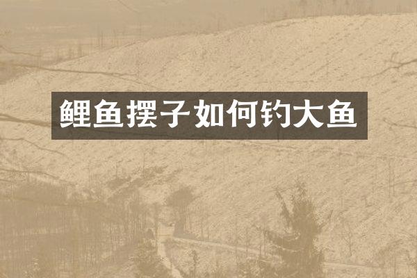 鲤鱼摆子如何钓大鱼
