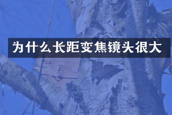 为什么长距变焦镜头很大
