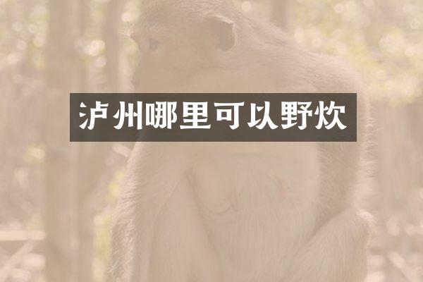 泸州哪里可以野炊
