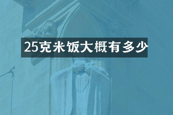 25克米饭大概有多少