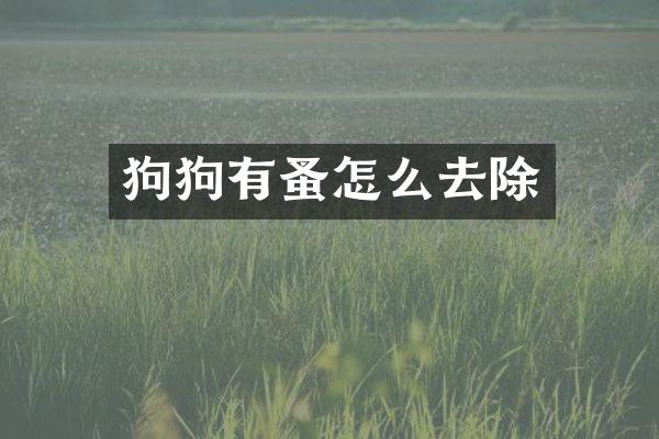 狗狗有蚤怎么去除
