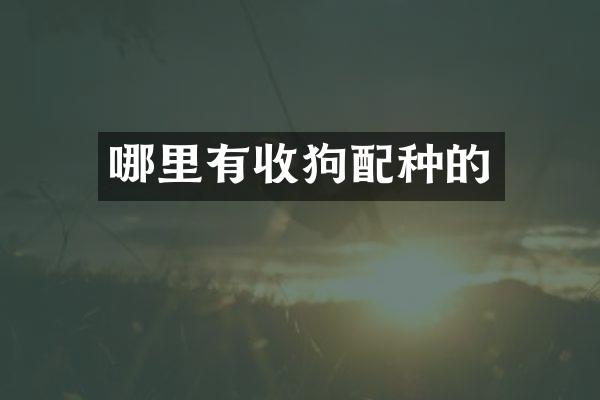 哪里有收狗配种的