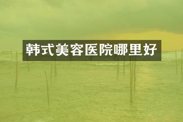 韩式美容医院哪里好