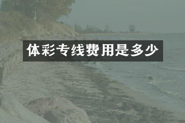体彩专线费用是多少
