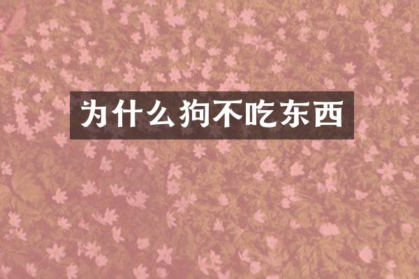 为什么狗不吃东西
