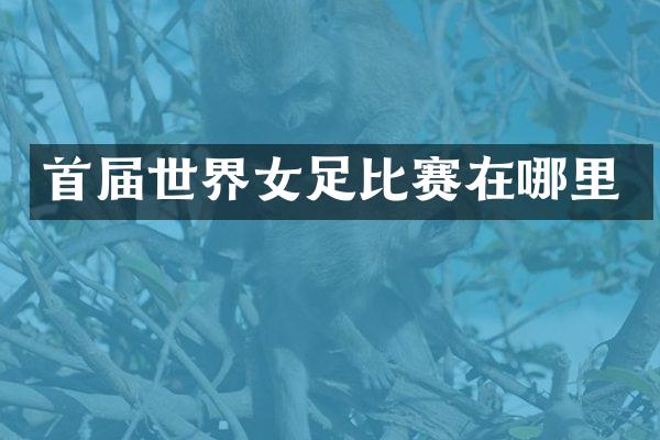 首届世界女足比赛在哪里