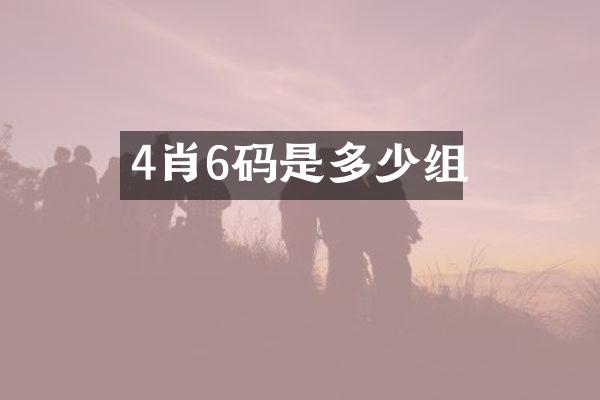 4肖6码是多少组