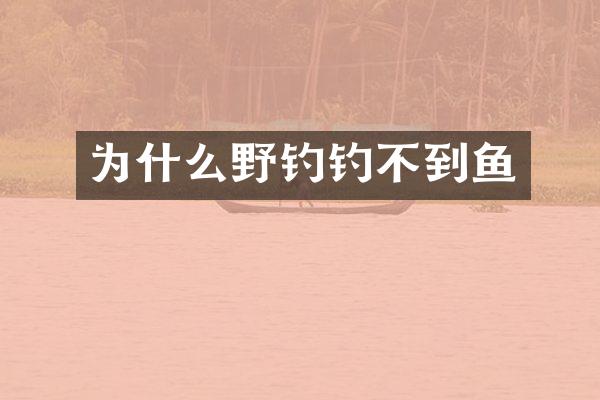 为什么野钓钓不到鱼