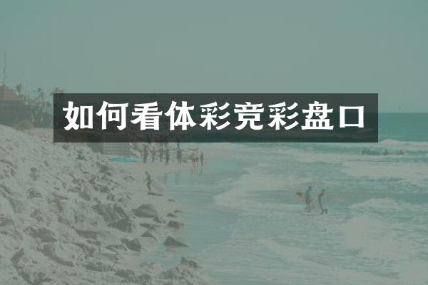如何看体彩竞彩盘口