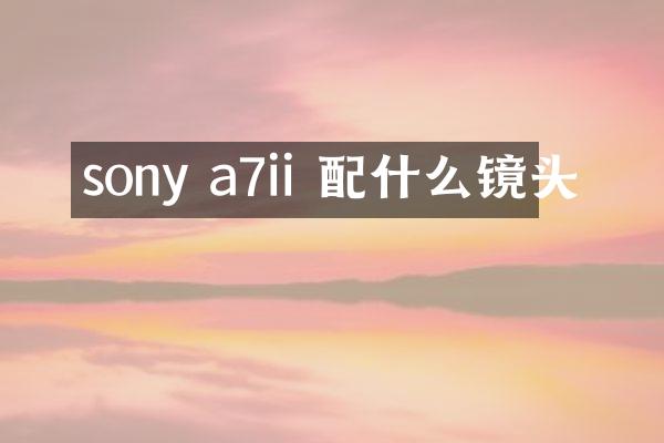 sony a7ii 配什么镜头