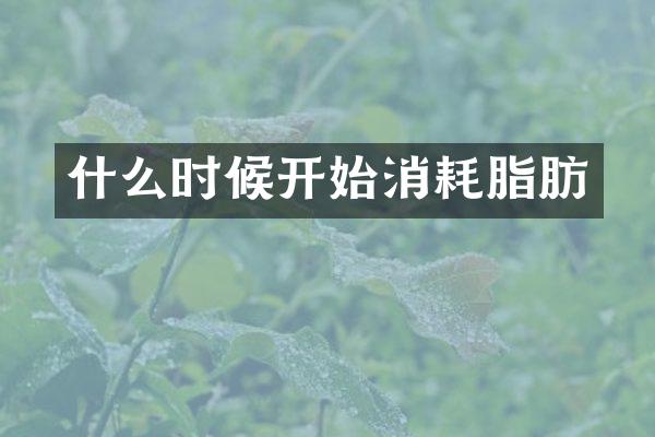 什么时候开始消耗脂肪