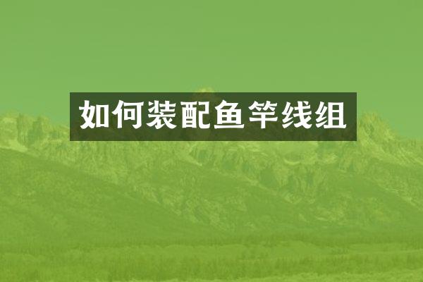 如何装配鱼竿线组
