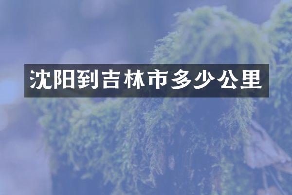 沈阳到吉林市多少公里