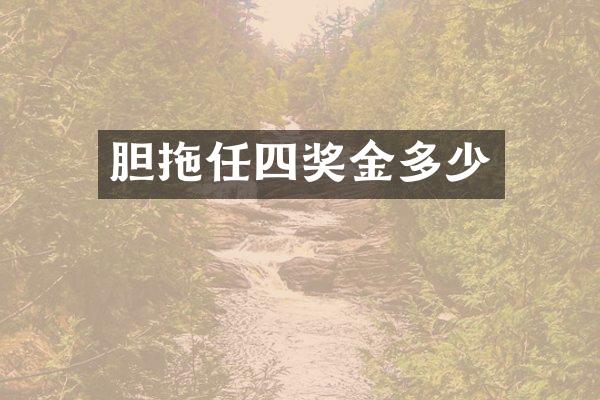 胆拖任四奖金多少