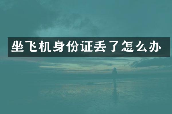 坐飞机丢了怎么办