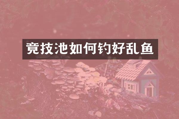 竟技池如何钓好乱鱼