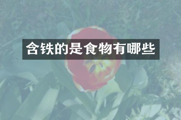 含铁的是食物有哪些