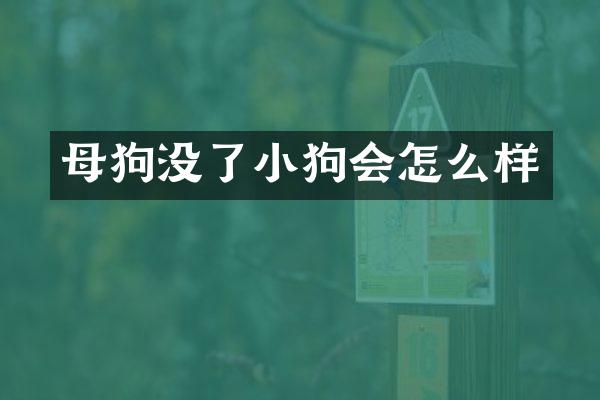 母狗没了小狗会怎么样