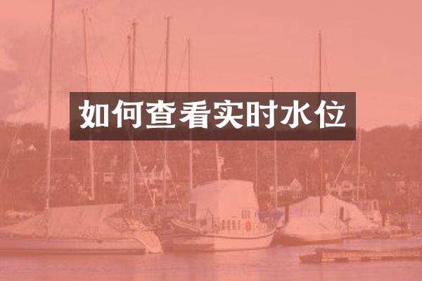 如何查看实时水位