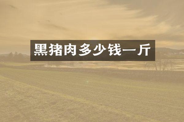 黑猪肉多少钱一斤