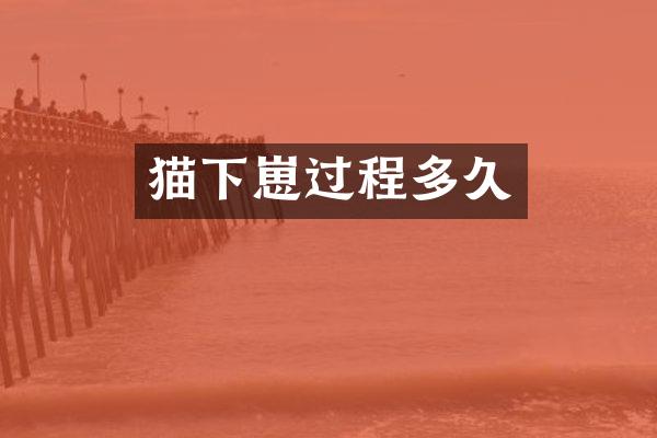 猫下崽过程多久