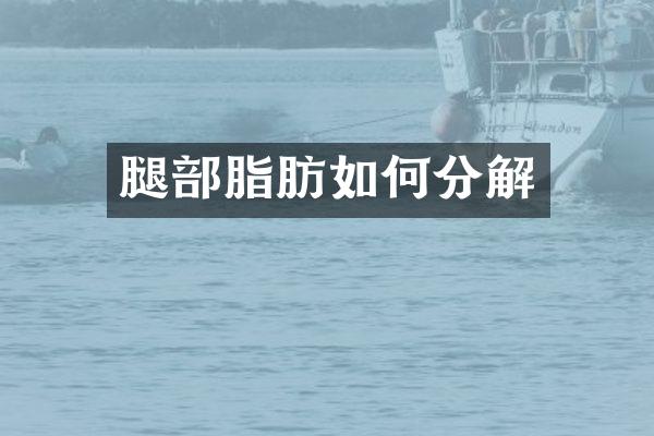 腿部脂肪如何分解