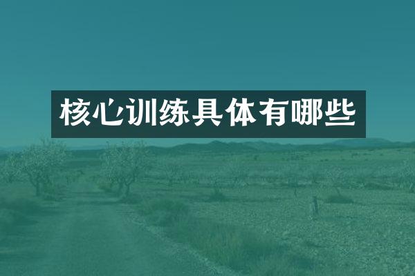 核心训练具体有哪些