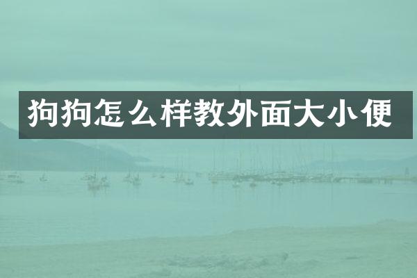狗狗怎么样教外面大小便
