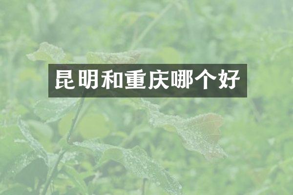 昆明和重庆哪个好