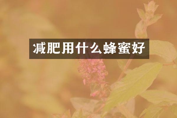 减肥用什么蜂蜜好