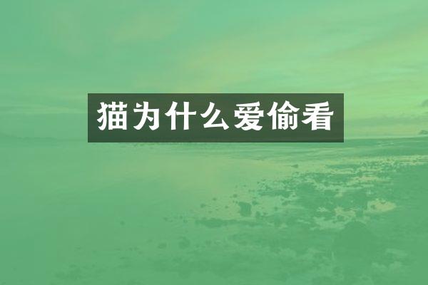 猫为什么爱偷看