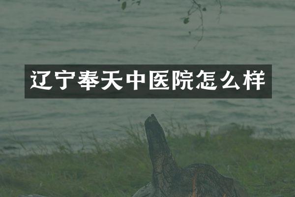 辽宁奉天中医院怎么样
