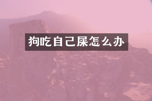 狗吃自己屎怎么办