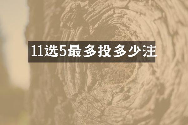 11选5最多投多少注