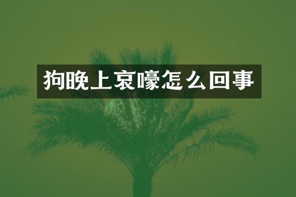 狗晚上哀嚎怎么回事