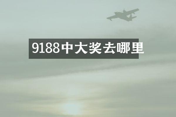 9188中大奖去哪里