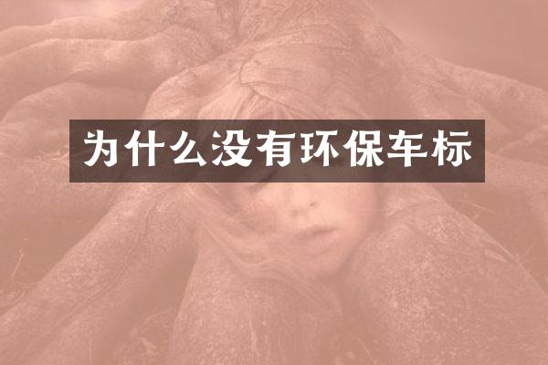 为什么没有环保车标