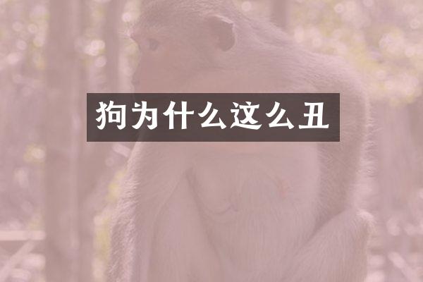 狗为什么这么丑
