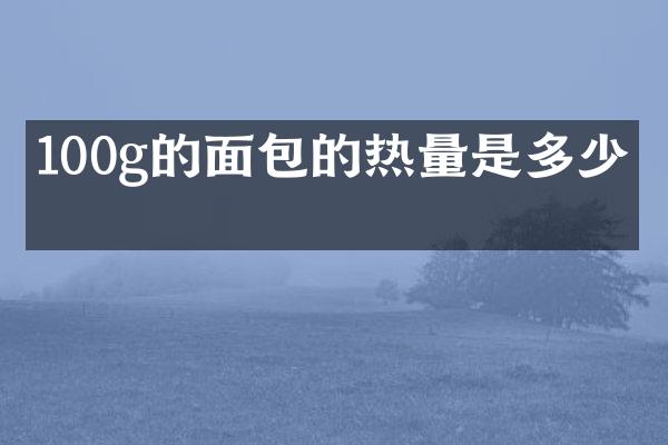 100g的面包的热量是多少卡