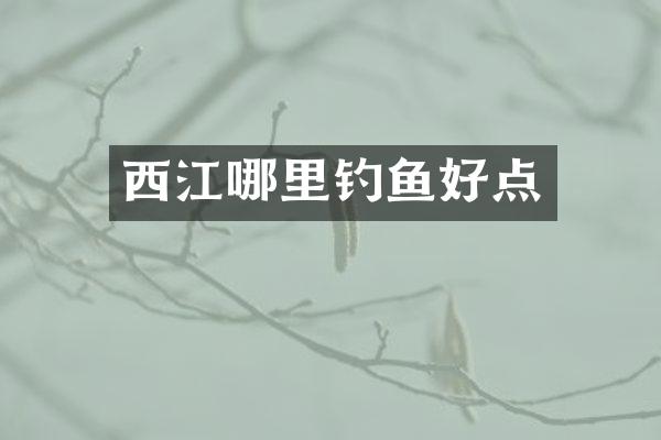 西江哪里钓鱼好点