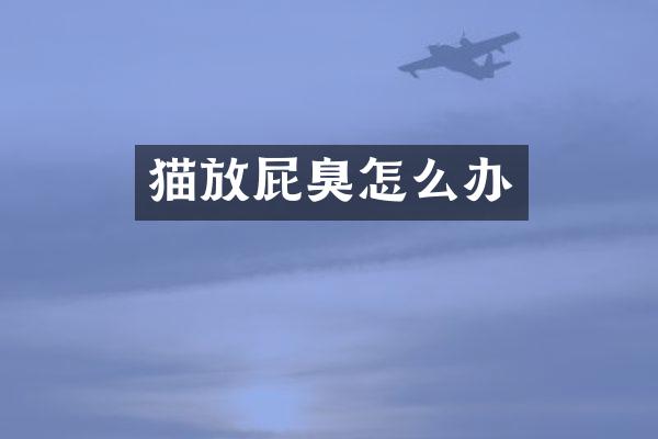 猫放屁臭怎么办
