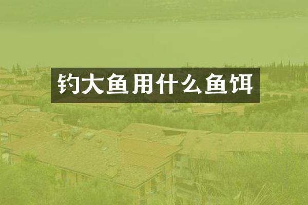 钓大鱼用什么鱼饵