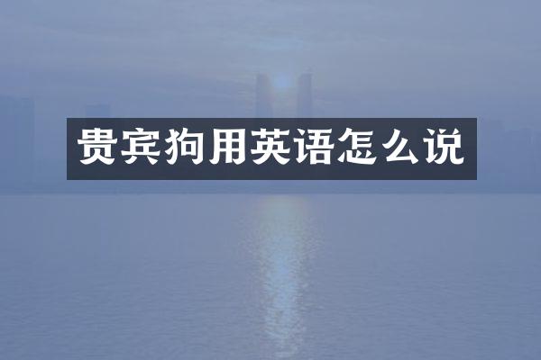 贵宾狗用英语怎么说