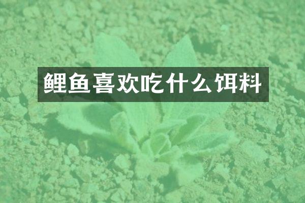 鲤鱼喜欢吃什么饵料