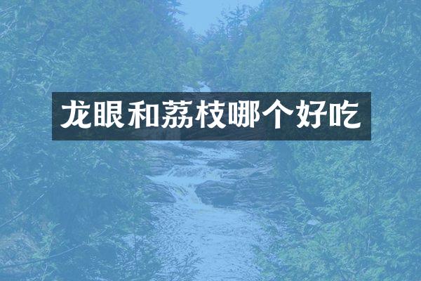 龙眼和荔枝哪个好吃
