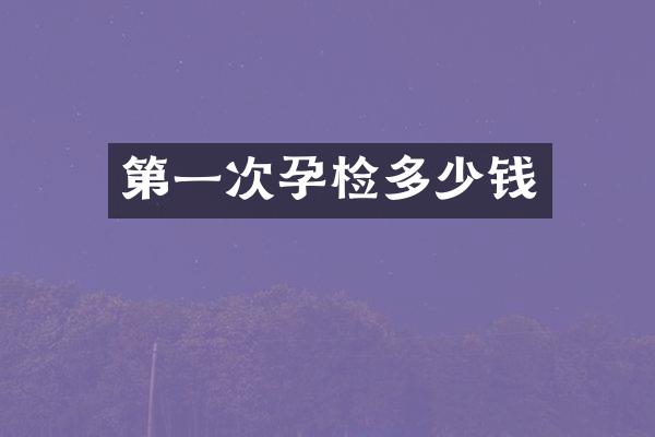 第一次孕检多少钱